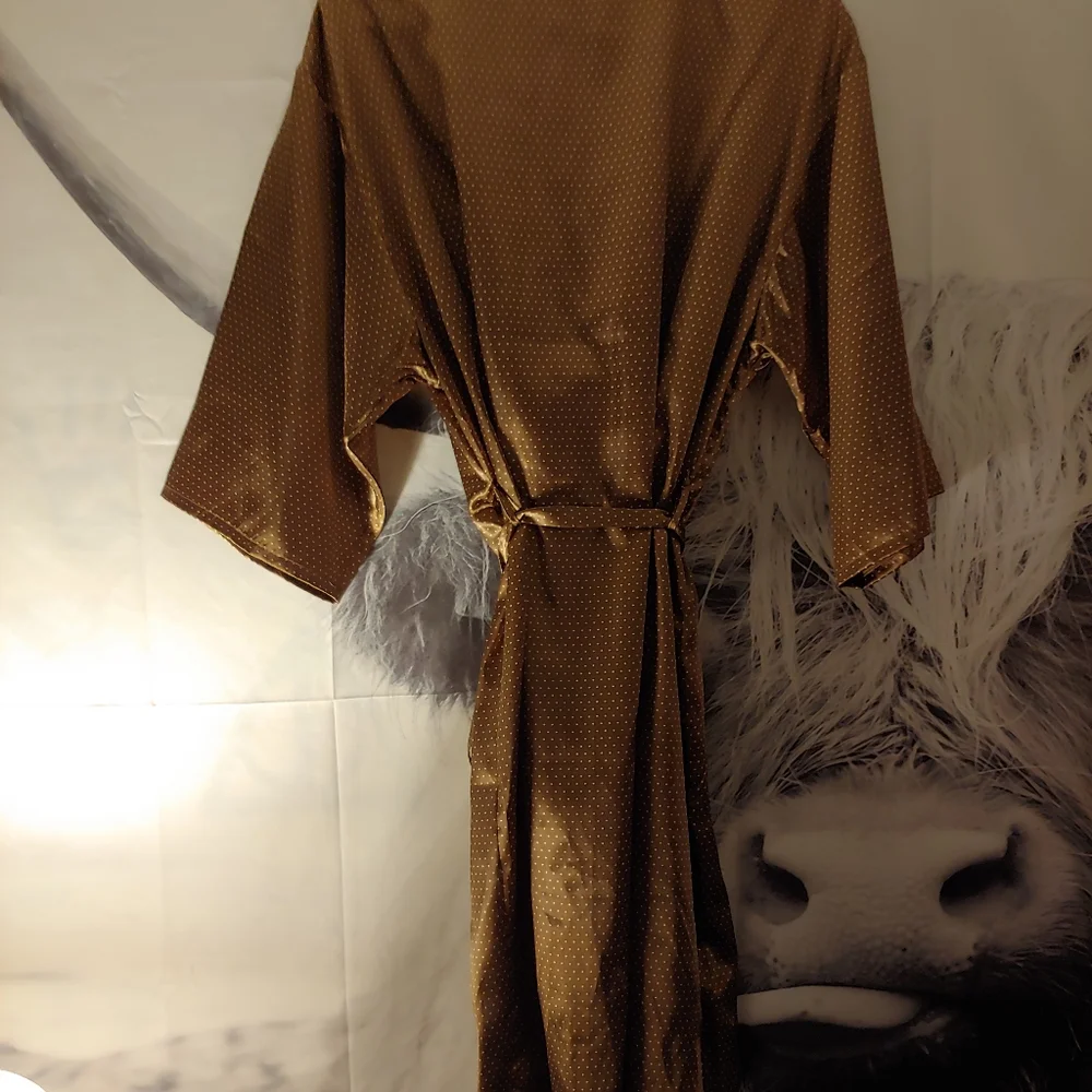 Satiny robe - Picture 5 of 5
